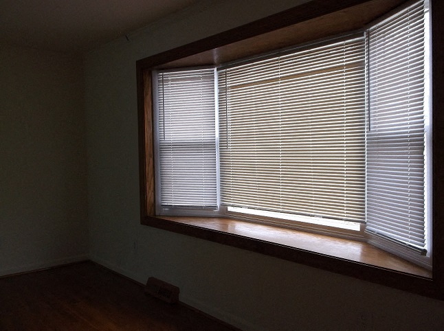 Gallery Photo 13